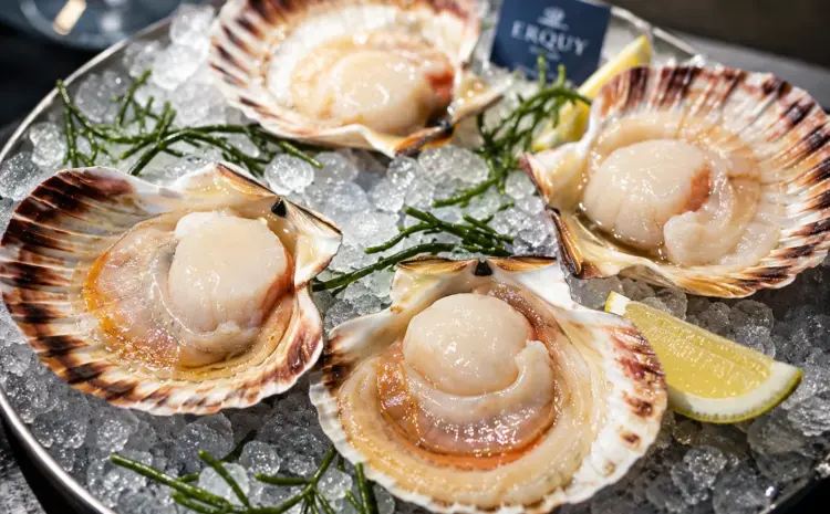  Discover How Ambiance Shapes the Perfect Dining Experience.